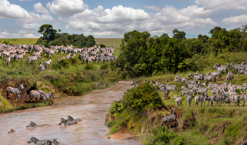 Viaje safari-kipekee-superior  desde Cuernavaca