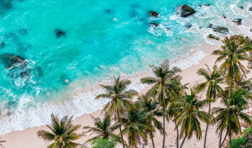 Viaje caribe-de-aruba  desde Veracruz