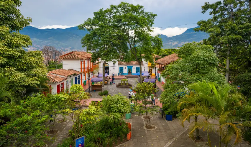 Viaje la-ruta-del-cafe 