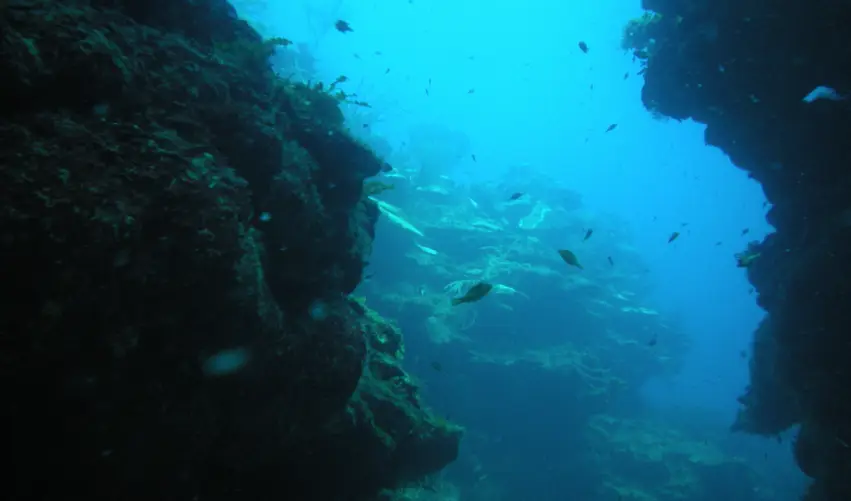 Viaje caribe-beliceno  desde Cuernavaca