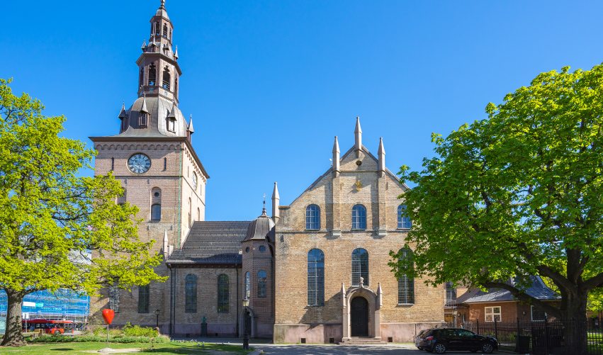 Viaje svalbard-huida-artica  desde Veracruz