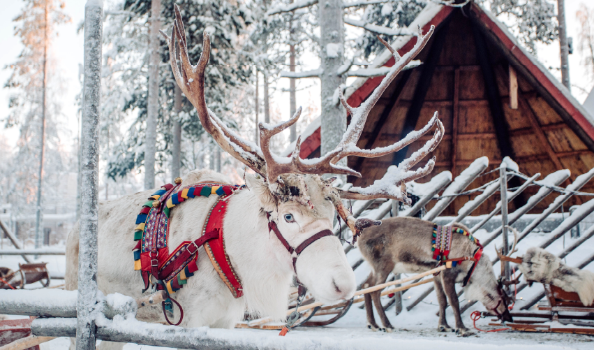Viaje santa-claus-y-l-aurora-boreal  desde Chihuahua