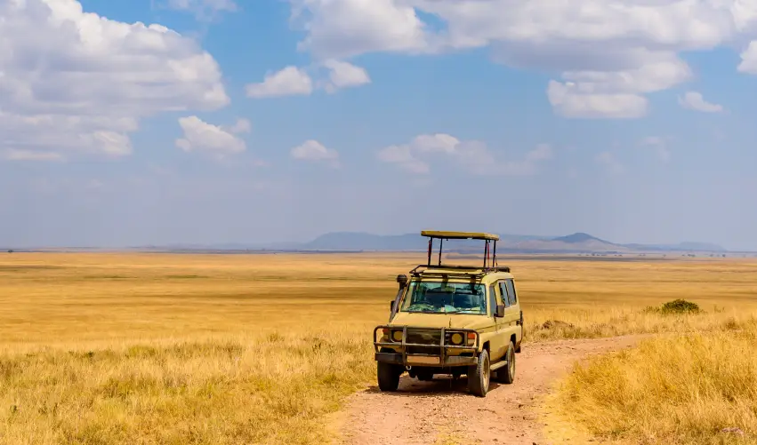 Viaje safari-keniano-clasico  desde Cuernavaca