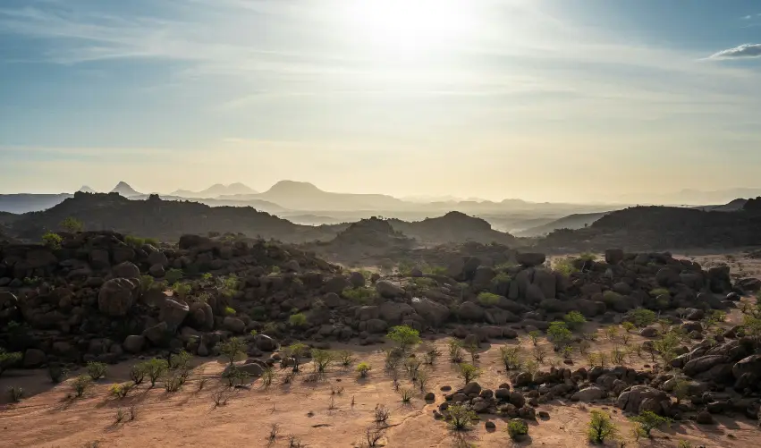 VIAJE ESCENAS SILVESTRES EN NAMIBIA   DESDE PUEBLA