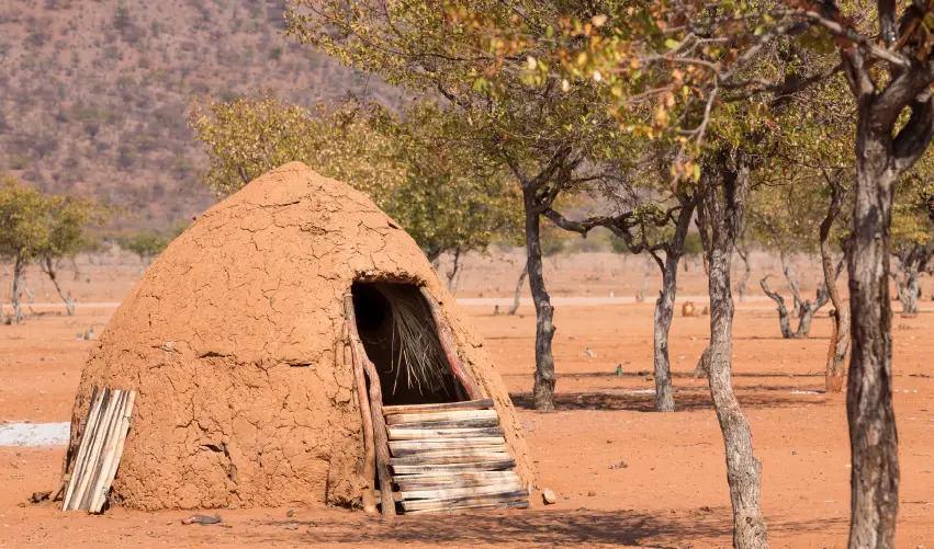Viaje escenas-silvestres-en-namibia  desde Cuernavaca
