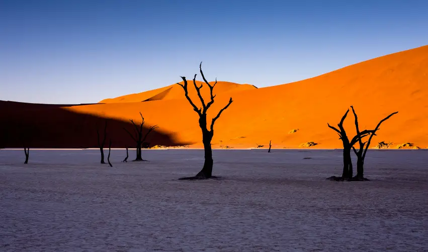 Viaje esplendores-de-namibia  desde Cuernavaca