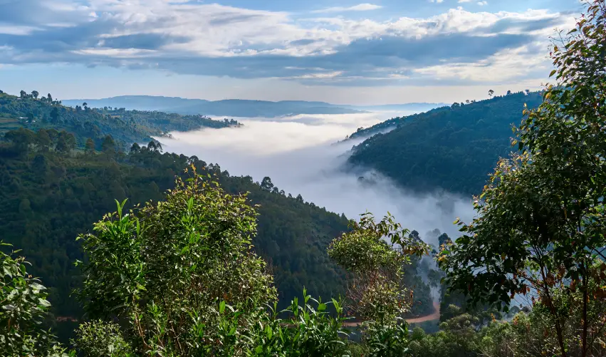 Viaje grandes-lagos-y-safari-de-gorilas-en-uganda-express  desde Veracruz