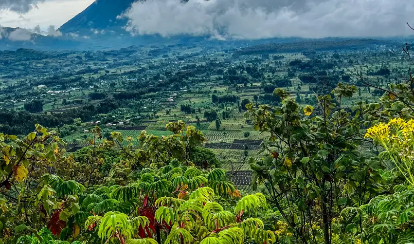 Viaje safari-en-la-selva-ruandesa 