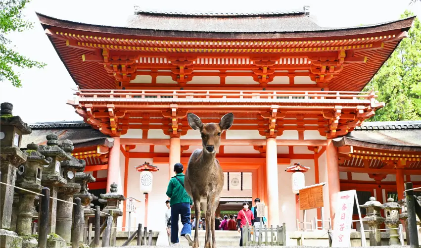 Viaje tentaciones-de-japon-con-osaka  desde Cuernavaca