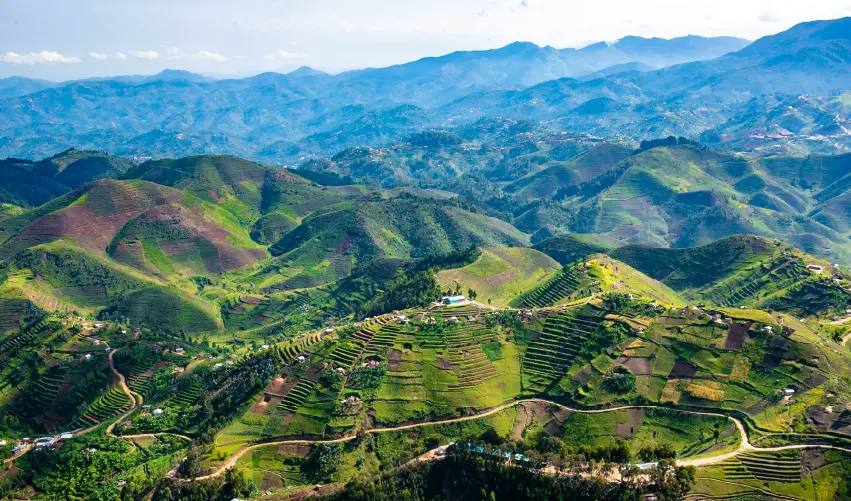 Viaje safari-de-primates-en-la-selva-ruandesa  desde Aguascalientes