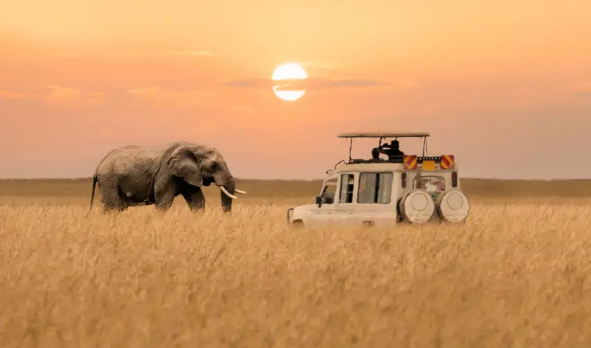 Viaje expedicion-duma-superior  desde Cuernavaca