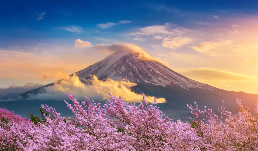 VIAJE NINJA TOUR   DESDE MONTERREY