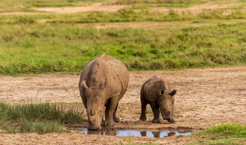Viaje expedicion-madoadoa-superior  desde Cuernavaca