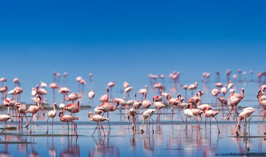 Viaje expedicion-madoadoa-superior  desde Cuernavaca