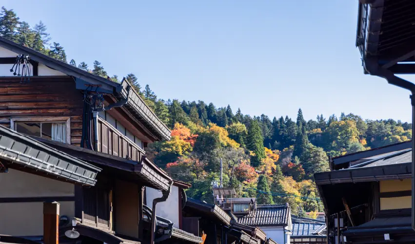 Viaje mijatour-japon  desde Cuernavaca