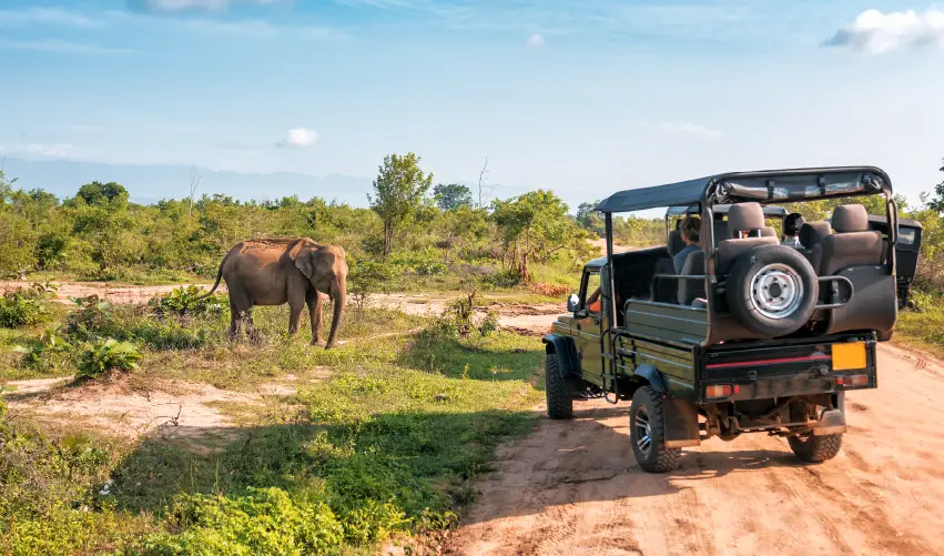 Viaje expedicion-ziwa-clasico  desde Cuernavaca