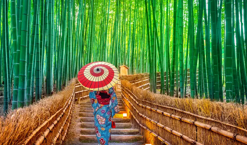 Viaje japon-en-tren  desde Aguascalientes