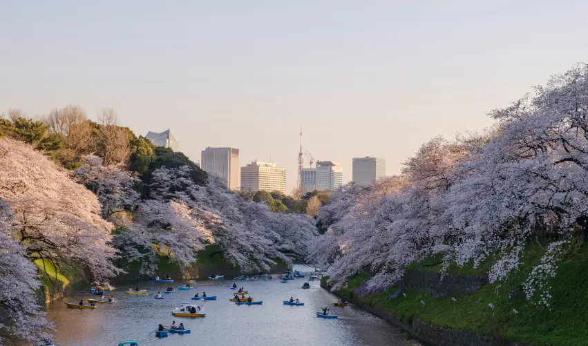 Viaje hokkaido-japon  desde Cancún