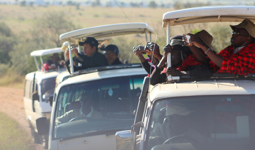 Viaje spa-tour-y-safari-clasico  desde Cuernavaca