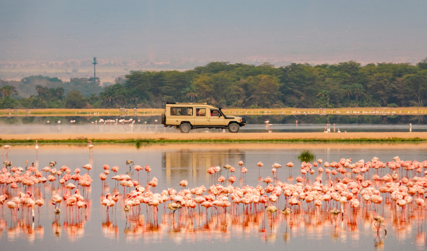 Viaje spa-tour-y-safari-clasico  desde Cuernavaca