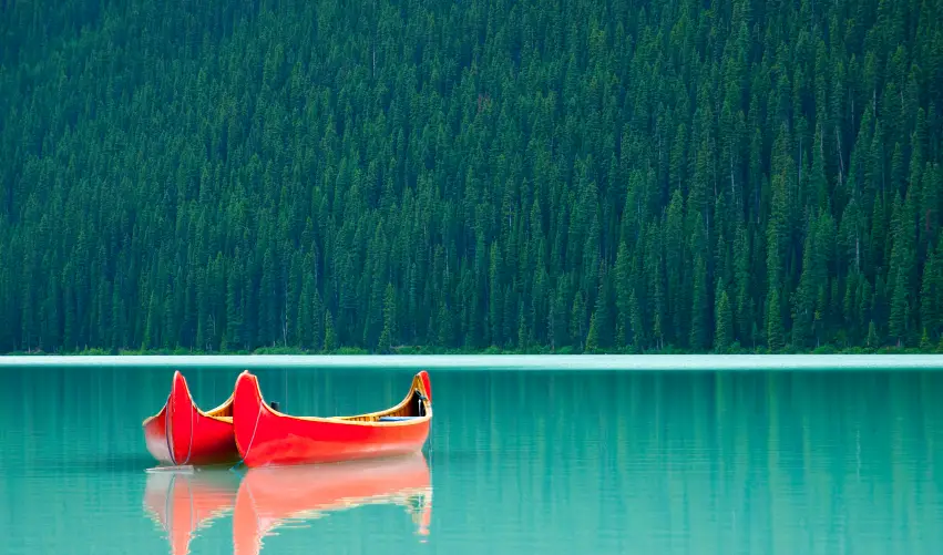 Viaje estampida-en-calgary-2026  desde Cuernavaca