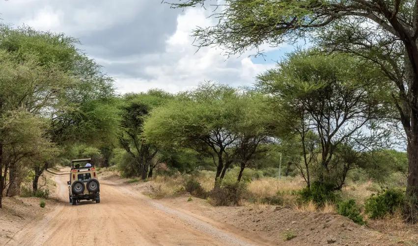 Viaje safari-tanganica-salvaje  desde Cuernavaca