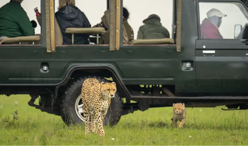 VIAJE SPA, TOUR Y SAFARI NAISULA SUPERIOR  DESDE CANCÚN