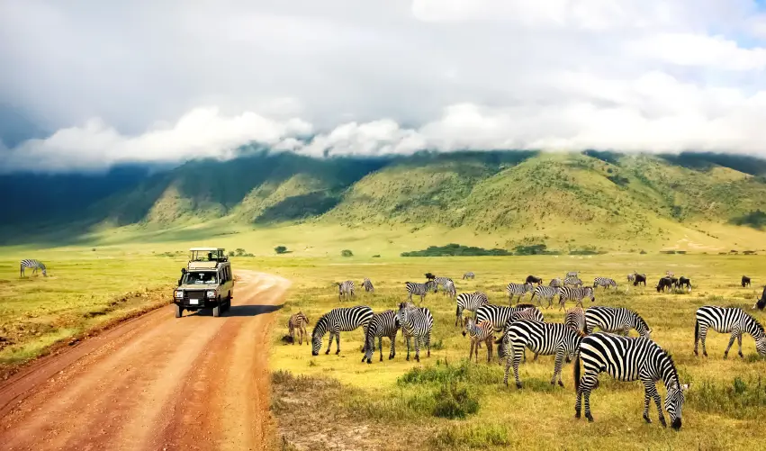 Viaje safari-serena-con-arusha  desde Cuernavaca