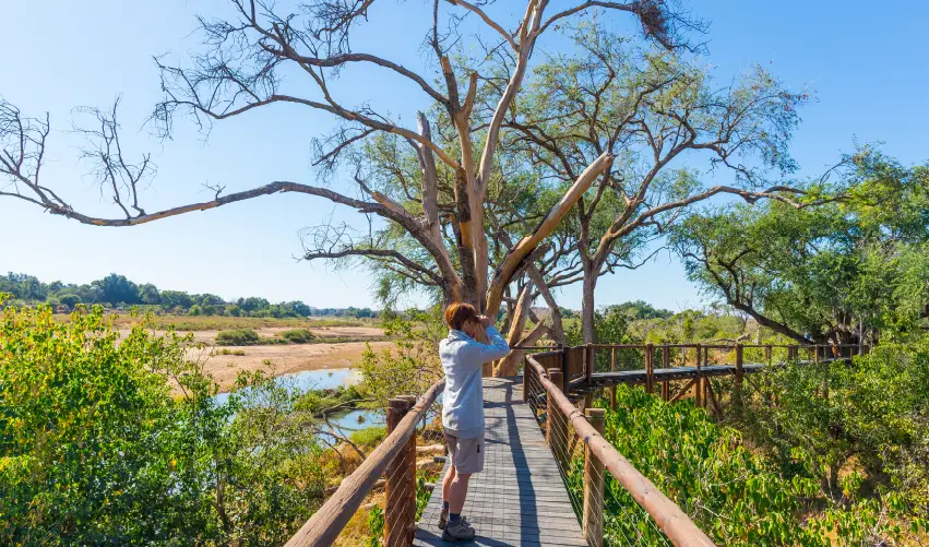 VIAJE SAFARI TANGANICA SALVAJE CON ARUSHA  DESDE CUERNAVACA