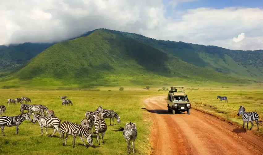 Viaje safari-tanganica-salvaje-con-arusha  desde Cuernavaca