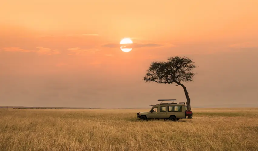 VIAJE SAFARI SERENA CON ARUSHA Y TARANGIRE  DESDE CUERNAVACA