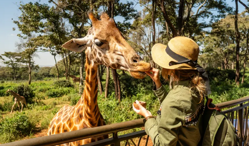 Viaje expedicion-mpaka-superior  desde Aguascalientes