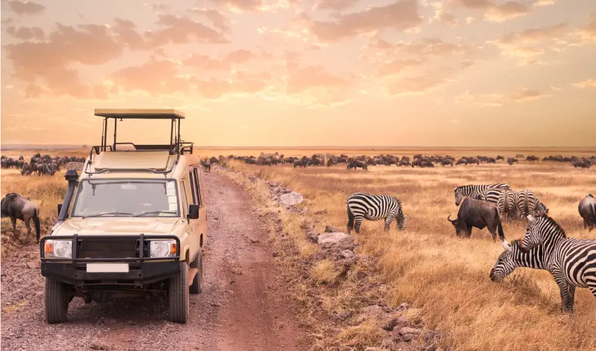 Viaje safari-nyoka-clasico  desde Puebla