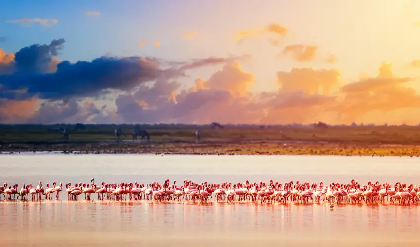 Viaje safari-nyoka-clasico  desde Puebla