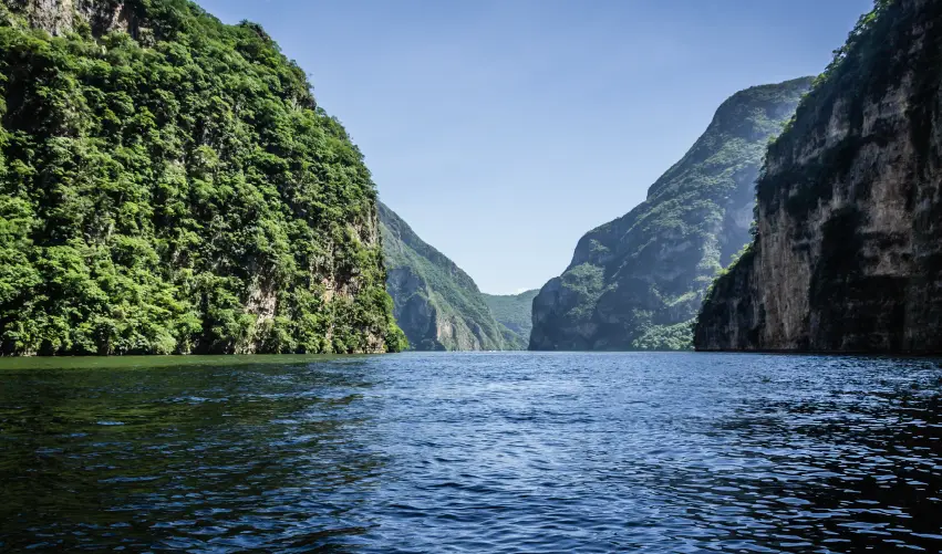 Viaje chiapas-cafetero  desde Monterrey