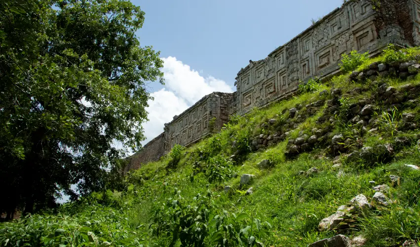 Viaje ruta-jaguar  desde Cuernavaca