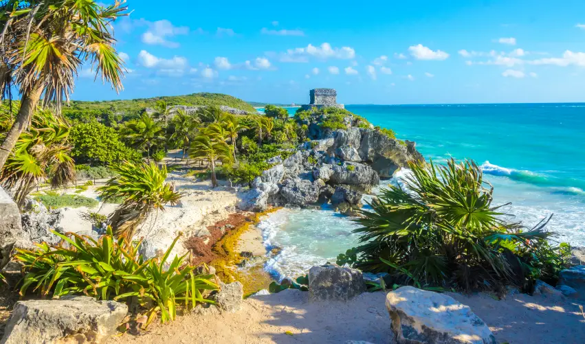 Viaje ruta-jaguar  desde Cuernavaca