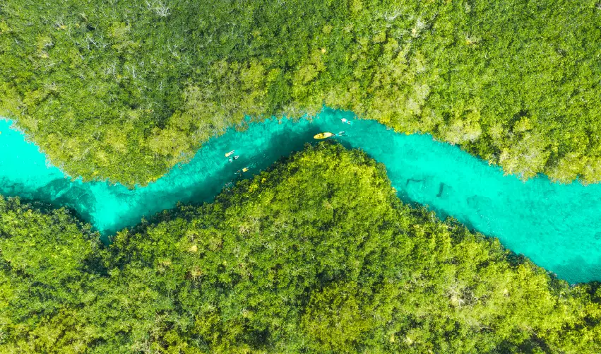 VIAJE RUTA JAGUAR   DESDE CANCÚN