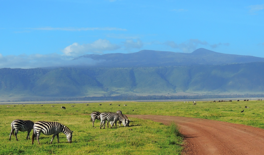 Viaje safari-circunnavegacion  desde Cuernavaca