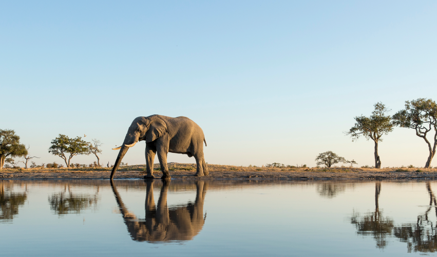Viaje safari-bora  desde Cuernavaca
