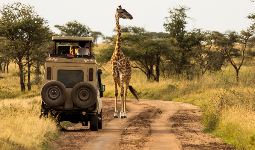 Viaje safari-bora  desde Cuernavaca