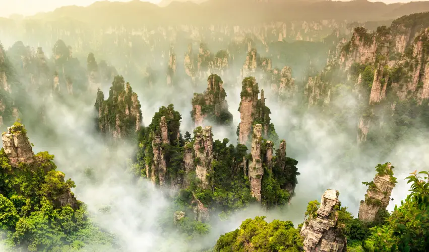 VIAJE PANDAS Y LAS MONTAÑAS DE PELÍCULA  DESDE AGUASCALIENTES