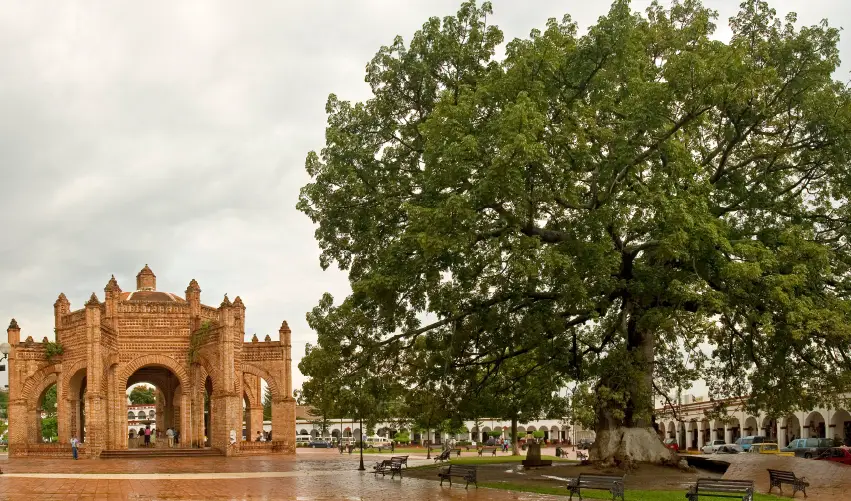 VIAJE CHIAPAS ESENCIAL  DESDE VERACRUZ