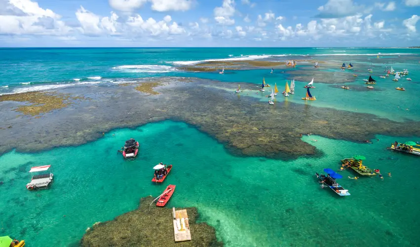 Viaje viaje-sao-paulo-porto-galinhas-5486  desde Tabasco