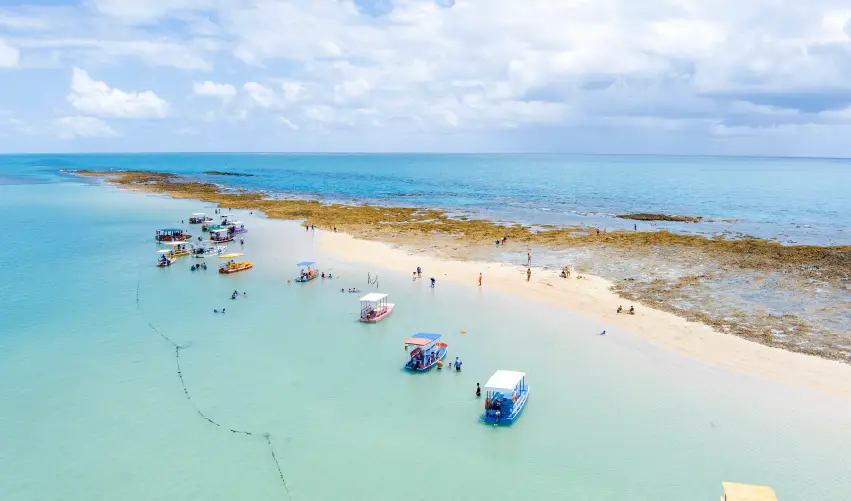 VIAJE VIAJE-SAO-PAULO-PORTO-GALINHAS-5486  DESDE TABASCO
