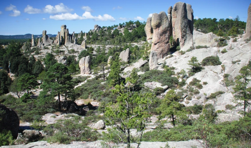 Viaje tour-barrancas-cobre-5500  desde Campeche