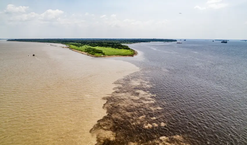 Viaje brasil-rio-amazonas-5528  desde Tampico