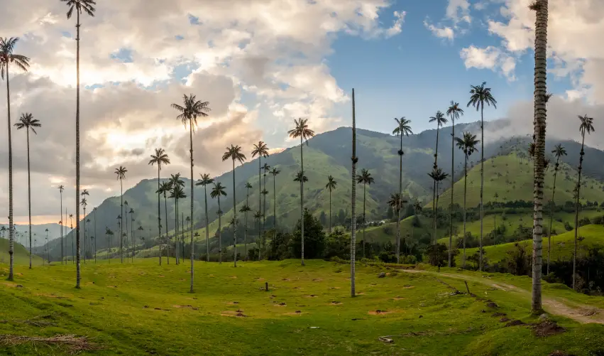 Viaje eje-cafetero-pereira-5547 desde León