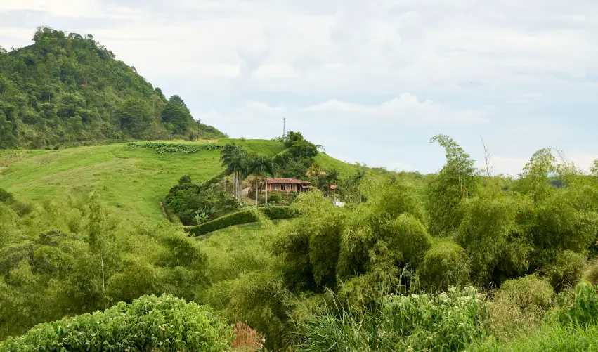 Viaje eje-cafetero-pereira-5547 desde León