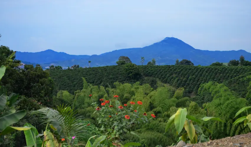 Viaje circuito-colombia-5548 